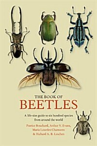 The Book of Beetles : A Life-Size Guide to Six Hundred of Natures Gems (Hardcover)