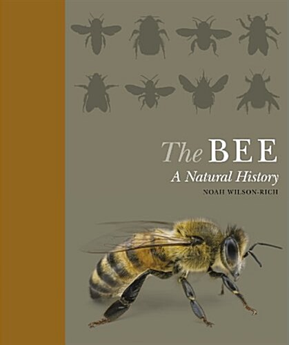 The Bee : A Natural History (Hardcover)