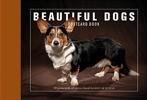 Beautiful Dogs Postcard Book : 30 Postcards of Classic Breeds to Keep or to Send (Paperback)