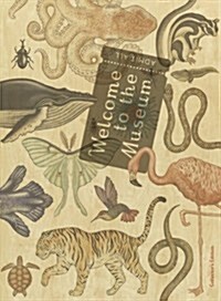 Welcome to the Museum : Animalium Collectors Edition (Hardcover)