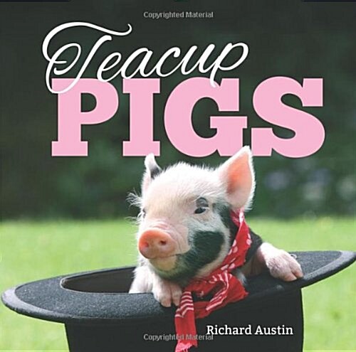 Teacup Pigs (Hardcover)