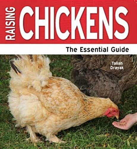 Raising Chickens : The Essential Guide (Paperback)