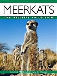Meerkats (Paperback)