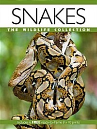 Snakes (Paperback)