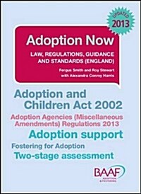 Adoption Now (Paperback)