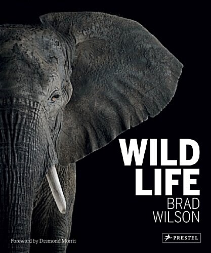Wild Life (Hardcover)