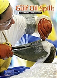 Oil Spill Case Study (Paperback)