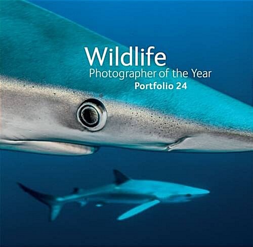 Wildlife Photographer of the Year : Portfolio 24 (Hardcover)