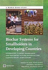 Biochar Systems for Smallholders in Developing Countries: Leveraging Current Knowledge and Exploring Future Potential for Climate-Smart Agriculture (Paperback)