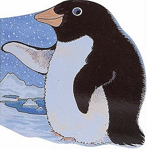 Pocket Penguin (Board Books)