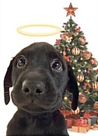 Lab Pup by Tree Holiday Cards (Other)