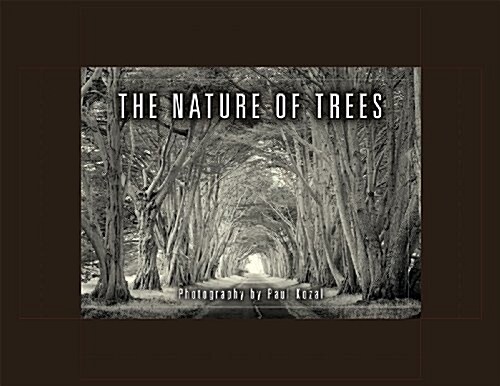 The Nature of Trees Notecards [With 16 Envelopes] (Other)