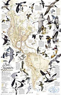 National Geographic Bird Migration, Western Hemisphere Wall Map - Laminated (20.25 X 31.25 In) (Not Folded, 2004)