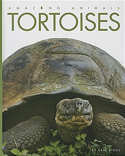 Tortoises (Library Binding)