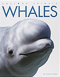 Whales (Library Binding)