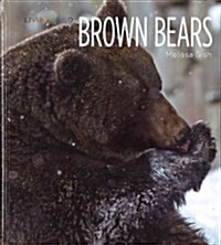 Brown Bears (Library Binding)