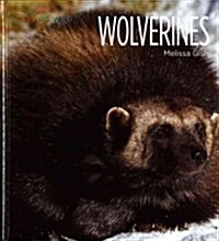Wolverines (Library Binding)