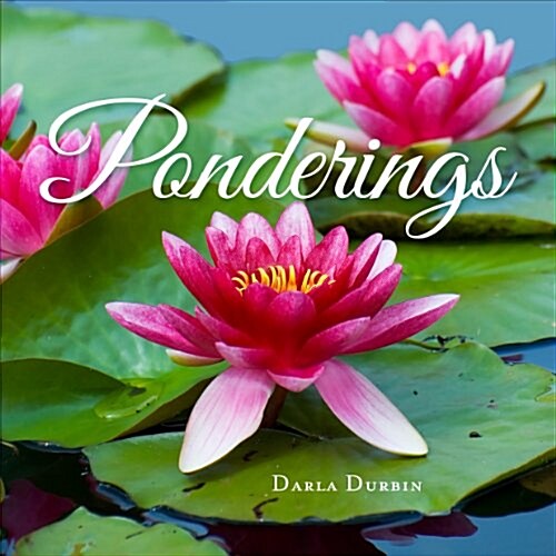 Ponderings (Paperback)