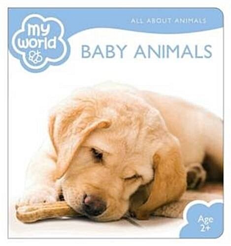 Baby Animals (Board Books)