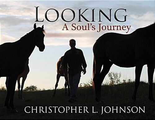 Looking: A Souls Journey (Hardcover)
