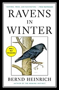 Ravens in Winter (Paperback)