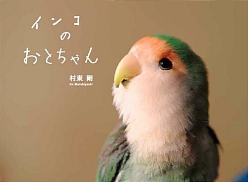 インコのおとちゃん (單行本(ソフトカバ-))