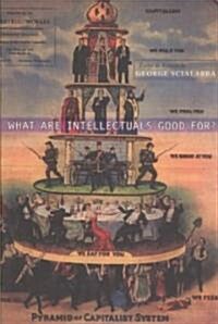 What Are Intellectuals Good For? (Paperback)