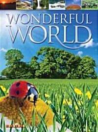 Wonderful World (Paperback, Original)