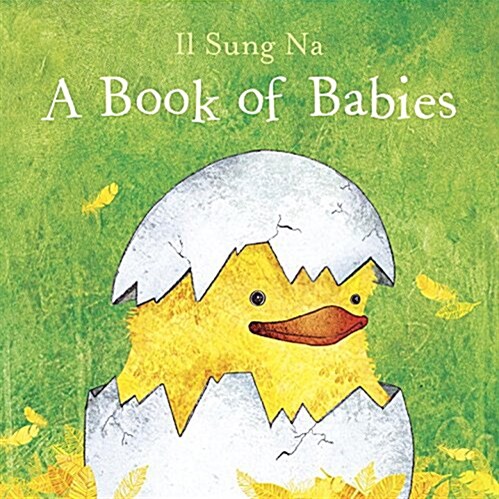 A Book of Babies (Board Books)