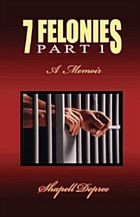 7 Felonies: One Womans Journey of Poor Choices (Paperback)