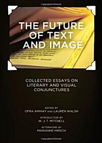 Future of Text and Image : Collected Essays on Literary and Visual Conjunctures (Hardcover)