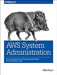 Aws System Administration: Best Practices for Sysadmins in the Amazon Cloud (Paperback)