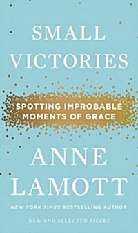 Small Victories: Spotting Improbable Moments of Grace (Hardcover, Deckle Edge)