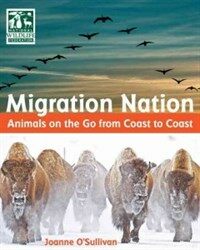 Migration nation  : animals on the go from coast to coast