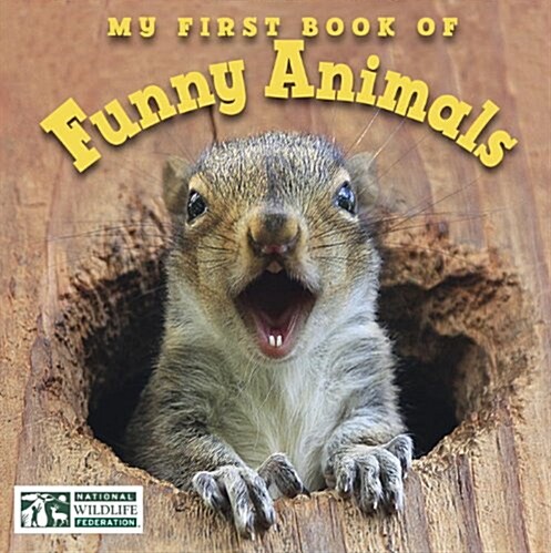 My First Book of Funny Animals (National Wildlife Federation) (Board Books)