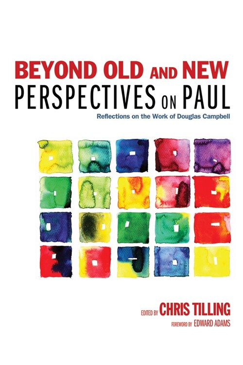 Beyond Old and New Perspectives on Paul (Paperback)