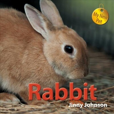 Rabbit (Library Binding)