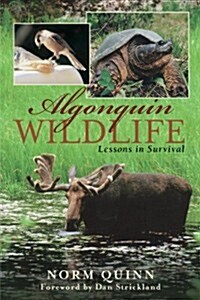 Algonquin Wildlife: Lessons in Survival (Paperback)