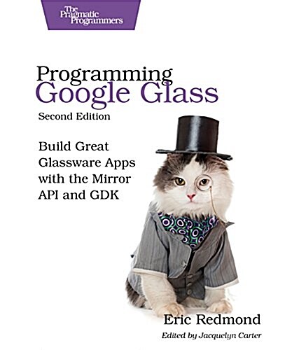 Programming Google Glass (Paperback, 2nd)