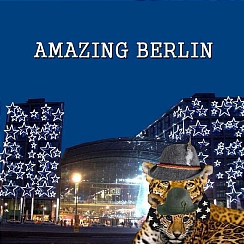 Amazing Berlin (Paperback)