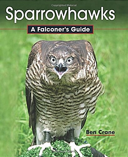 Sparrowhawks : A Falconers Guide (Hardcover)