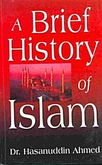 A Brief History of Islam (Paperback, 1st)