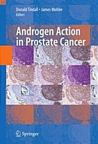 Androgen Action in Prostate Cancer (Paperback)