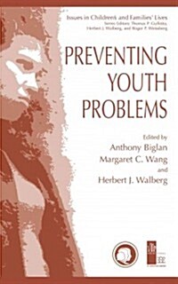 Preventing Youth Problems (Paperback)