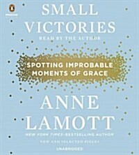 Small Victories: Spotting Improbable Moments of Grace (Audio CD)