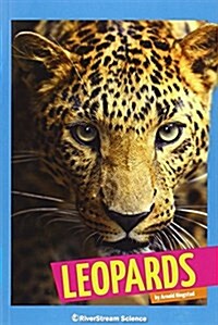 Leopards (Paperback)