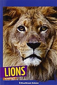 Lions (Paperback)