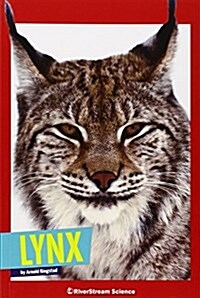 Lynx (Paperback, Reprint)