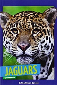 Wild Cats Classroom Collection (1 Each of 8) (Paperback)