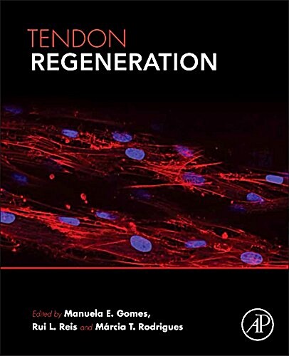 Tendon Regeneration: Understanding Tissue Physiology and Development to Engineer Functional Substitutes (Paperback)